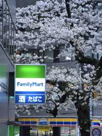 【東京】行かなきゃそんな‼️桜のトンネルを歩こう🚶‍♀️※周辺観光情報付き