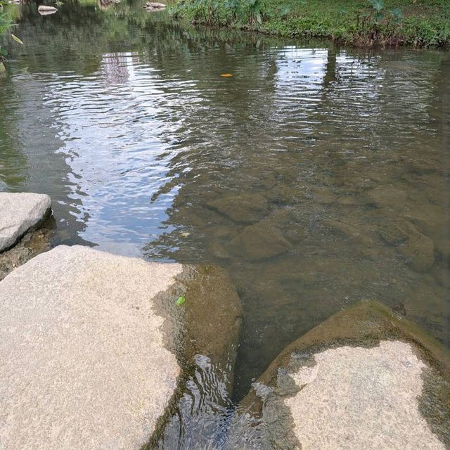 Bishan-Ang Mo Kio Park