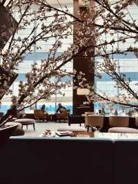 Spring Vibes at Conrad Tokyo: A Sakura Wonderland🌸