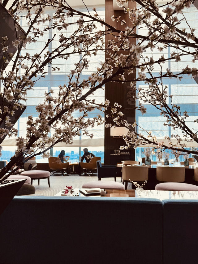 Spring Vibes at Conrad Tokyo: A Sakura Wonderland🌸