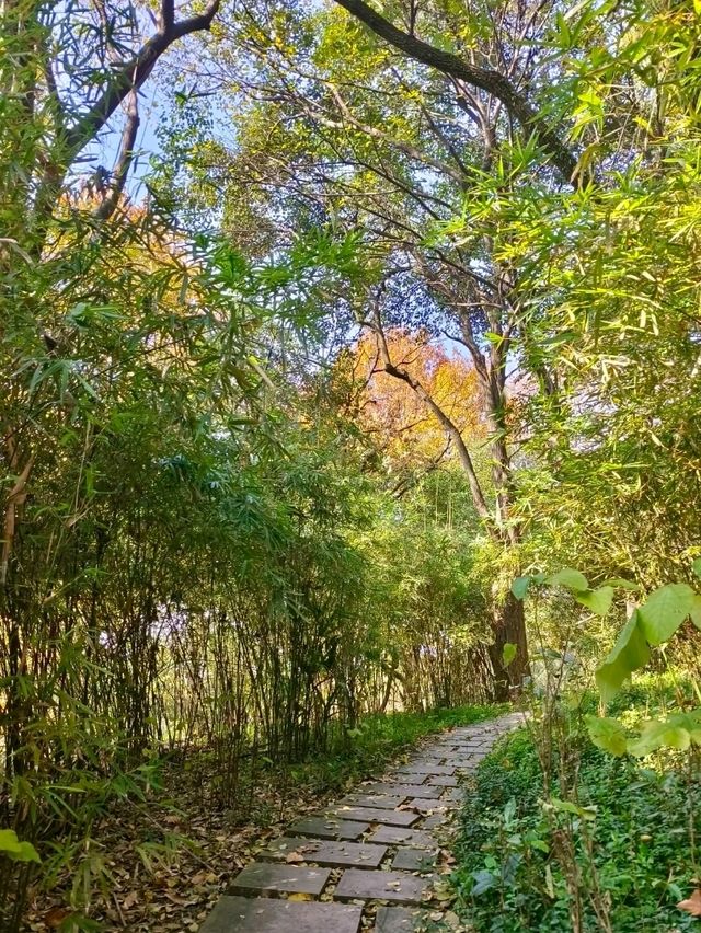 Yangming Park: A Scenic Stroll with a View