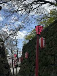 滿開的櫻花城～和歌山城