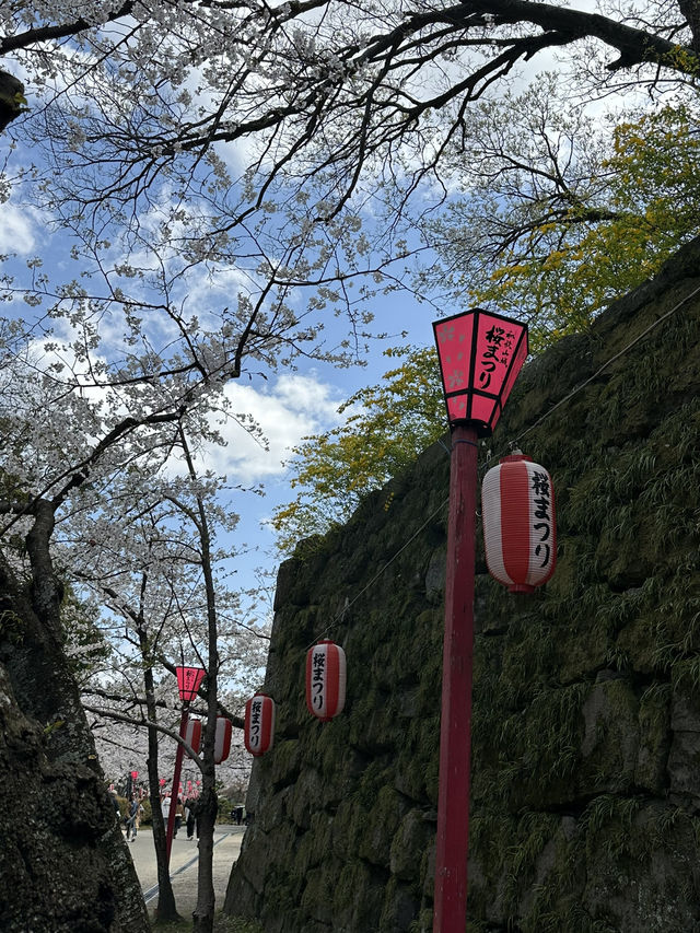 滿開的櫻花城～和歌山城