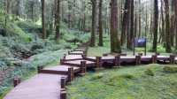 Peaceful Escapes in the Mountains of Alishan, Taiwan