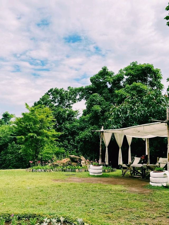 緬甸曼德勒著名旅遊景點：眉謬植物園，National Kandawgyi Garden，親近大自然，適合打卡拍照📸