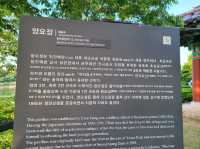 양요정