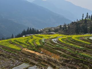 Guizhou Jiabang Terraces Travel Guide