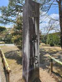 🌸【宇治・平等院｜極樂淨土的櫻色幻境】🏯  