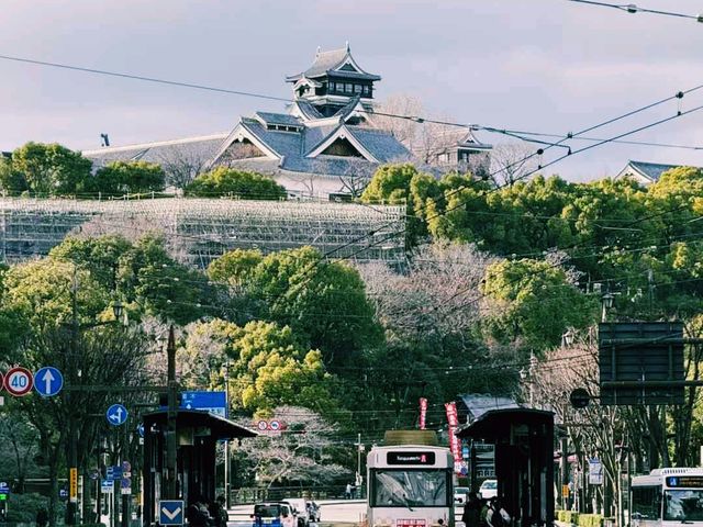 日本熊本縣著名旅遊城市景點熊本城旅行攻略，適合打卡拍照📸