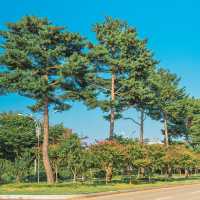 富陽自然生態公園·綠意世外桃源