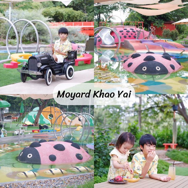 รวมพิกัดที่เที่ยวสายครอบครัว “เขาใหญ่” 🚗🌳