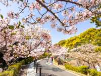 Sumaura Park มีUnseen เส้นทางวิ่งเทรลที่สวยงาม