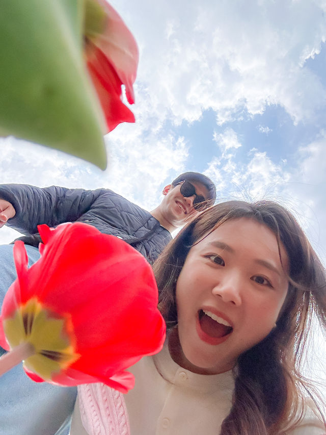 튤립이 피어나면 화명생태공원 