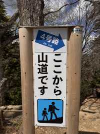 วิ่งเทรลไกล้โตเกียว เขา Takao ที่สายเทรลต้องมา