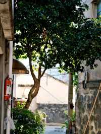 Filial Piety Archway: A Glimpse into Old Street Life