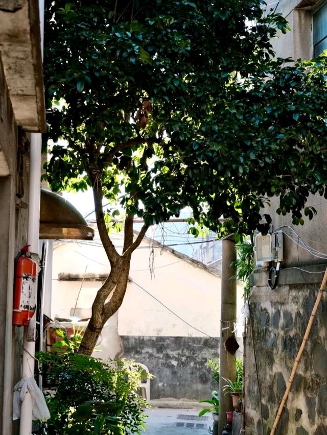 Filial Piety Archway: A Glimpse into Old Street Life