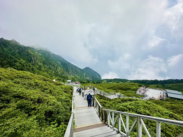 Where the Mountains Heal You: Cangshan’s Quiet Magic