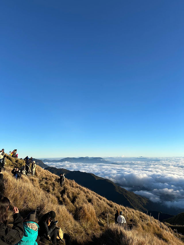 Sea of Clouds in the Morning Light