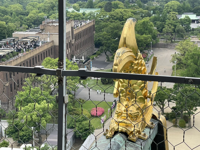 【大阪】日本の歴史と深い関わりを持つ大阪城
