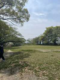 德島城遺跡