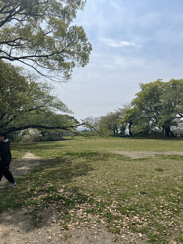 德島城遺跡