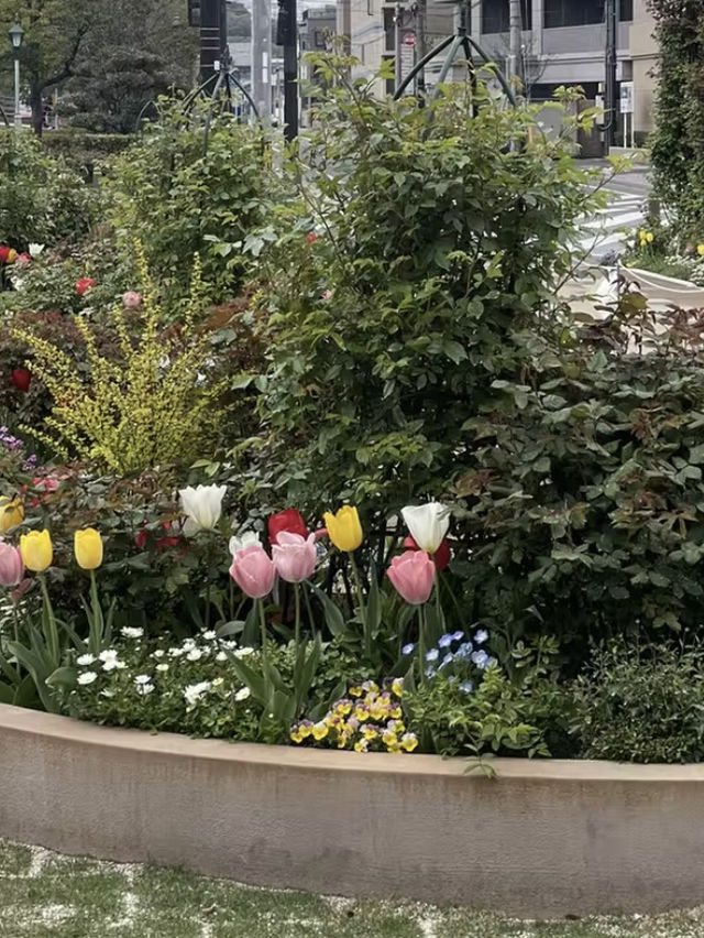広島福山市｜春の名残に染まる、福山城の風景楽しむ公園