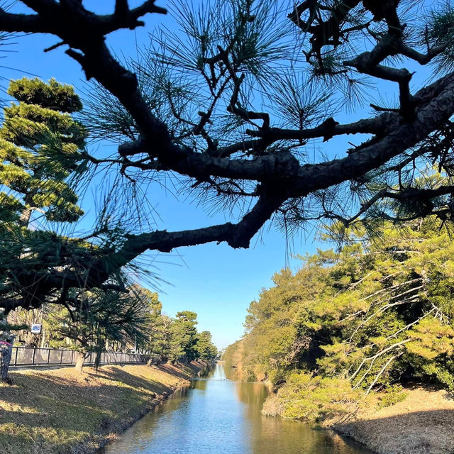 日本大仙公園💕避開人流好去處