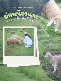 ม่อนน้องแกะ ดอยผาตั้ง (ดอยอินทนนท์)