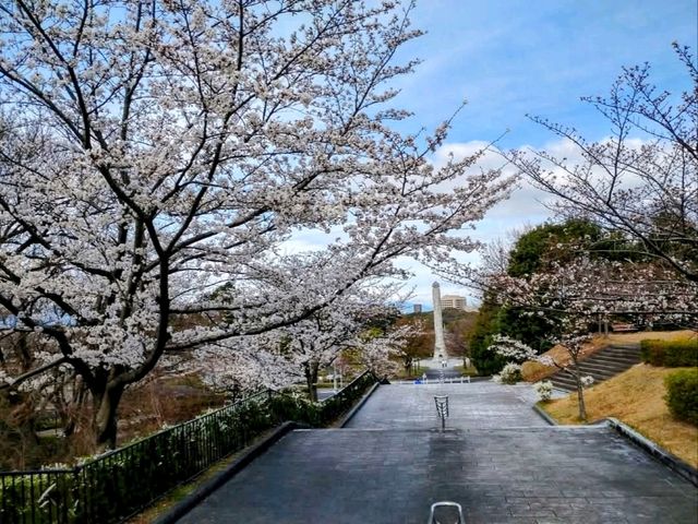 名古屋-平和公園，一萬步路線的賞櫻名所