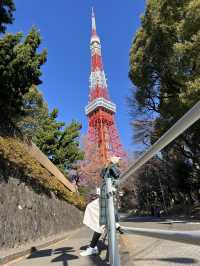 Tokyo Tower (โตเกียวทาวเวอร์)