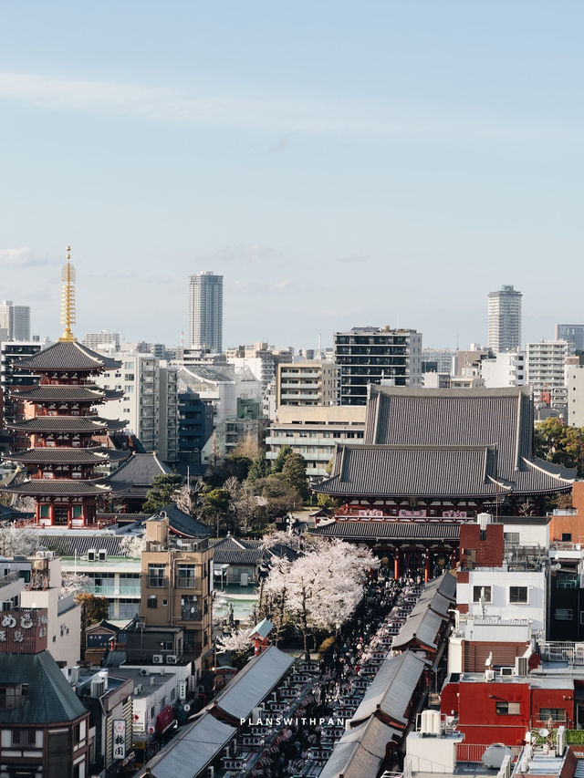 วัดเซ็นโซจิ (Sensoji Temple)🏮✨