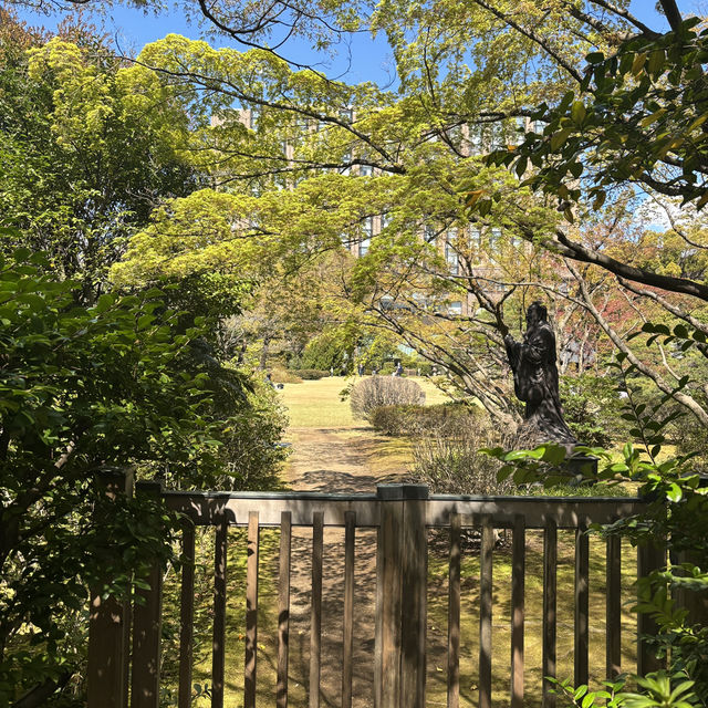 Campus in Bloom – A Serene Spring Walk Through Waseda University