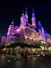 Magical Mayhem at Shanghai Disneyland – Worth Every Step!