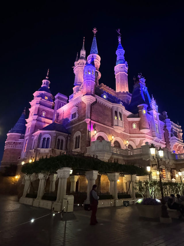 Magical Mayhem at Shanghai Disneyland – Worth Every Step!