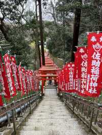 鎌倉充滿狐狸的神秘神社｜佐助稻荷大社！