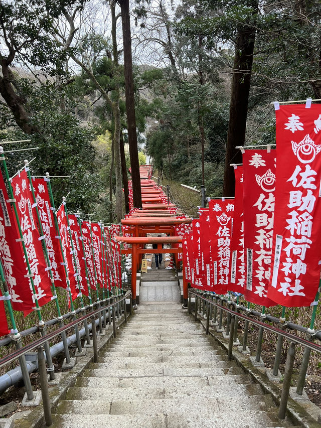 鎌倉充滿狐狸的神秘神社｜佐助稻荷大社！