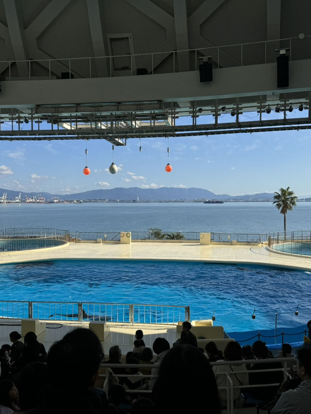 Fukuoka หน้ามรสุมไปไหนดี 🤔