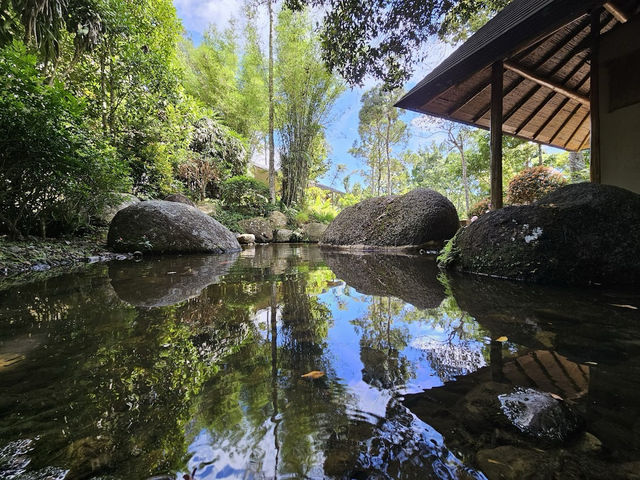 🍃 Zen Vibes Only: A Peaceful Pause at Bukit Tinggi’s Japanese Garden 🏯✨