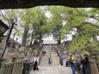 วัดนาริตะซัง และถนนคนเดิน/ Naritasan Omotesando