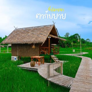 ที่ปลายนาตากับยาย อุทัยธานี