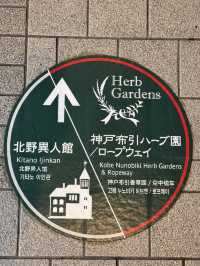 A Journey Through Innovation, History, and Beauty: Kansai and Beyond