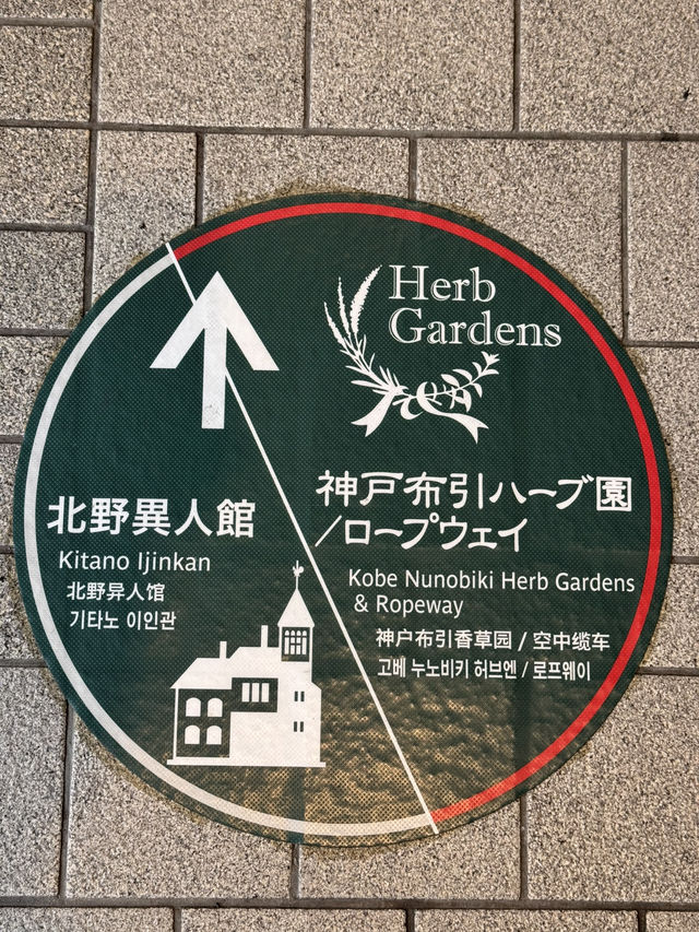 A Journey Through Innovation, History, and Beauty: Kansai and Beyond