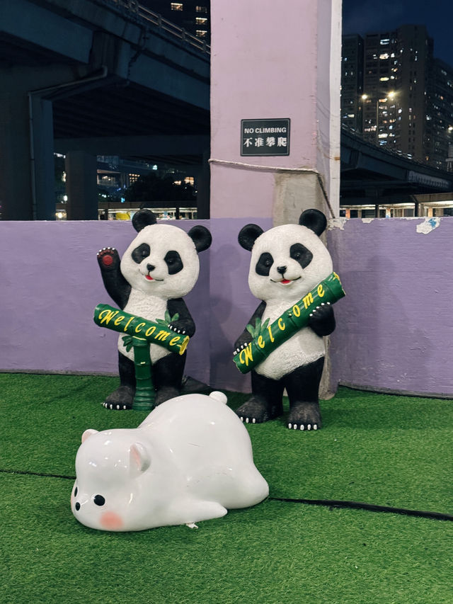 【⛴️洋紫荊維港遊體驗之夜🌊 ✨】