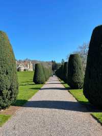 🌿 Springtime Must-Visit near Bristol｜Tyntesfield House