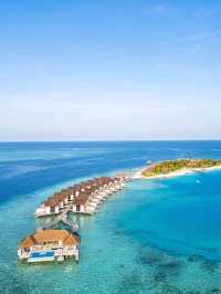 🏝️✨ Dive into Paradise: My Magical Journey in the Maldives! ✨🏝️