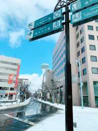 【北海道🏯五稜郭】雪の五稜郭❄️歴史を感じに行こう