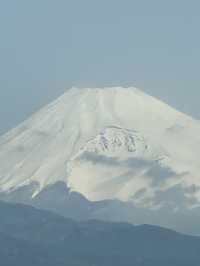 Just returned from an unforgettable spring trip to Japan!