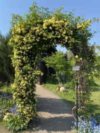 【季節の花を愛でる旅】フラワーパーク