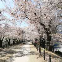 Suzaka Garyu Park, Nagano