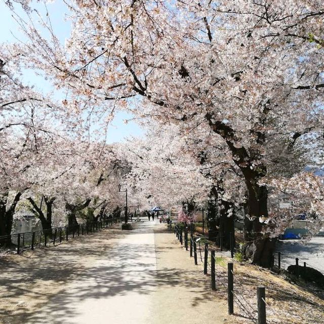 Suzaka Garyu Park, Nagano